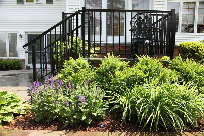 Planting, Plants, Trees, Shrubs, Flower Hill, New York, NY
