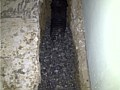 Drainage